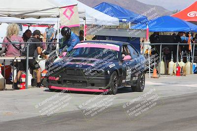 media/Oct-13-2024-Lucky Dog Racing (Sun) [[167cdb2262]]/Pits-Driver Changeovers-Refueling-Etc/